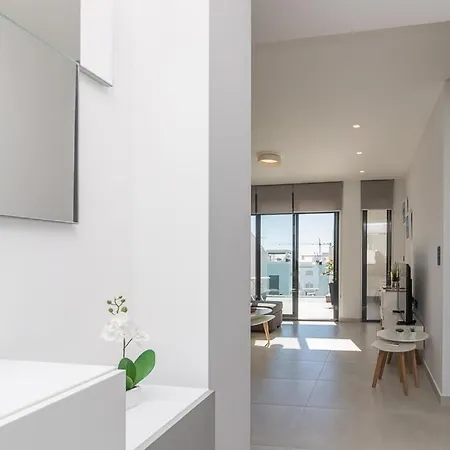 Calle Bullas Topfloor 托雷维耶哈